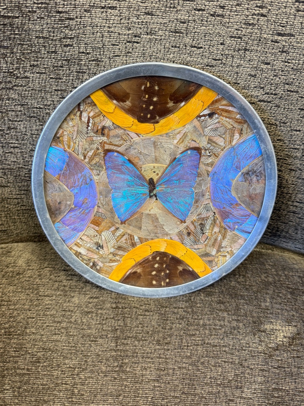 Vintage Brazilian Morpho Iridescent Blue Butterfly Wing and Feather Wall Art.